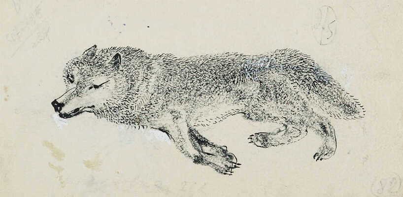 Курдов Валентин Иванович. Волки. Лот из трех иллюстрация к книге В. Бианки «Повести и рассказы о природе»